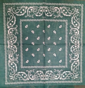 Bandana BAN16-0381W